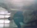 videos de Amazing Magic