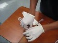Intravenous Therapy Teaching Video