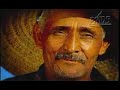 CLIPE PMDB ALAGOAS