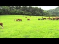 Model Farm, Ross-on-Wye