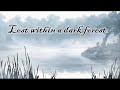 Gothic fairy tale