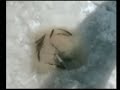usobder ice fishing usobder ice fishing