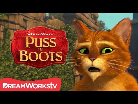 Missing Hat - NEW Puss In Boots