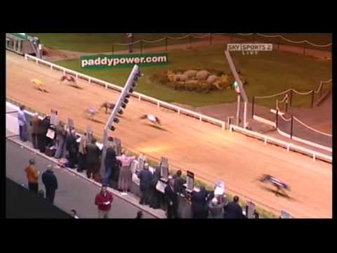 paddy power racing