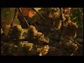 Regi�es da Nova Zel�ndia parte 1