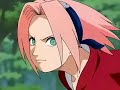 Sasori & Sakura love Sasori & Sakura love