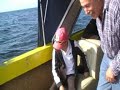 salmon fishing canada