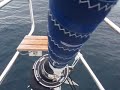 Delfinbesök utanför Spaniens kust Delfinbesök utanför Spaniens kust