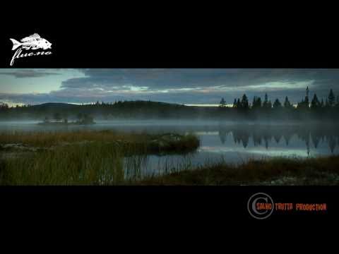 See video in full resolution