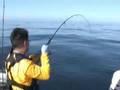 videos de Half Moon Bay Rockfishing