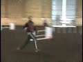 kleptos-dog-walk.html