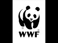 world wild life foundation
