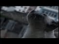 teledysk, klip, Hooverphonic,- Every Time We Live Together We Die A Bit More
