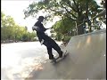 one-day-at-forest-park.html