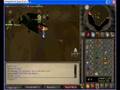 pk vid 2 dds specz