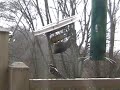 Hairy Woodpecker vs Downy Woodpecker