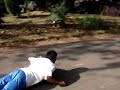 Jackass norbu