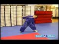 Advanced Wushu Techniques : The Lun Gun Staff Movement for Wushu Advanced Wushu Techniques : The Lun Gun Staff Movement for Wushu