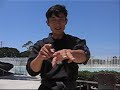  Sledge hammer fist) techniques video #043