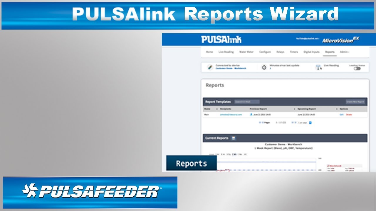 PULSAlink Reports Wizard