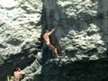 videos de filippo canu su Project Spigolo