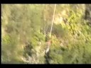 www.faceadrenalin.com Bloukrans Bungy Jemma Cleminson Jemma www.faceadrenalin.com Bloukrans Bungy Jemma Cleminson Jemma