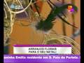 Dicas - Arranjos de Natal - Pra�a Alegria