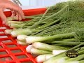 Food Network: Community Supported Agriculture