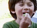 Food Network: Community Supported Agriculture