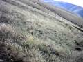 videos de 2008 starvation ridge ride