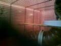 videos de MOV00133.MP4