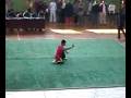 Nanquan_m2_xvid.mp4
