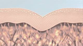 Giới thiệu Artistry