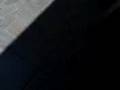 EbaixaDinha [1]