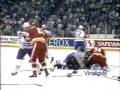 Peplinski punching Tikkanen 88-89