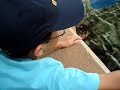 Bruno Peting a StingFish (Arraia)