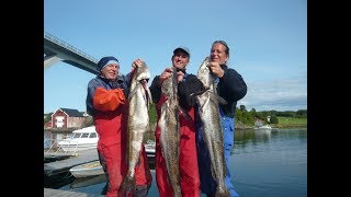 Norway Fishing 2018 - gezielt auf Seehecht