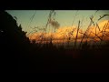 Gorky Park - California Promises