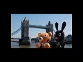 Search Video