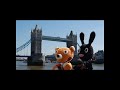 Search Video