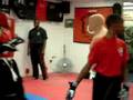 KICKING TECHNIQUE I