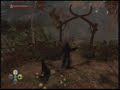 Fable II: The Duelist Guide Fable II: The Duelist Guide