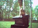 Funny Squirrel