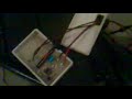 LED blinkers  Focus