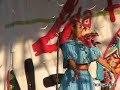 Cusinela - Venado Azul