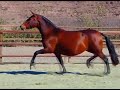 Naranja 07 nov 2009
