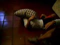 The Fight - A luta do ano, pura porrada !