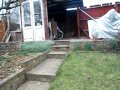 Click here to watch this video BUDDY.. BAZ,S FOXY DOG..