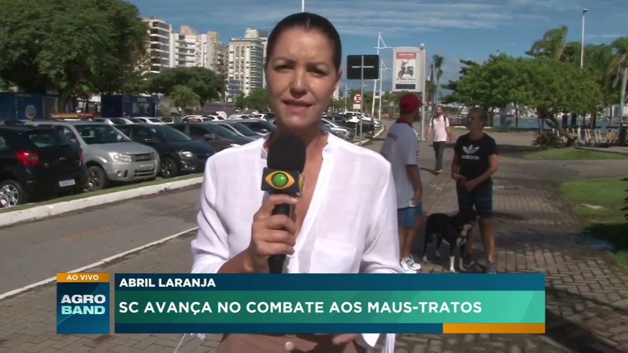 Abril Laranja reforça combate aos maus-tratos contra animais