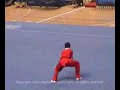 Wushu Gun Shu Champion Wushu Gun Shu Champion